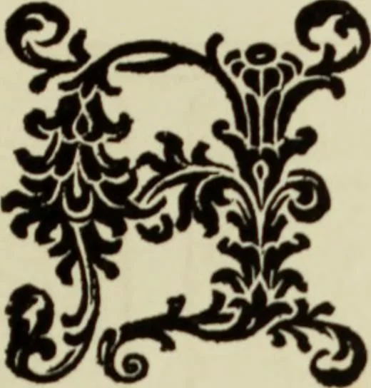 An illustration from Early woodcut initials : containing over thirteen hundred reproductions of ornamental letters of the fifteenth and sixteenth centuries, 1908, leaf 296