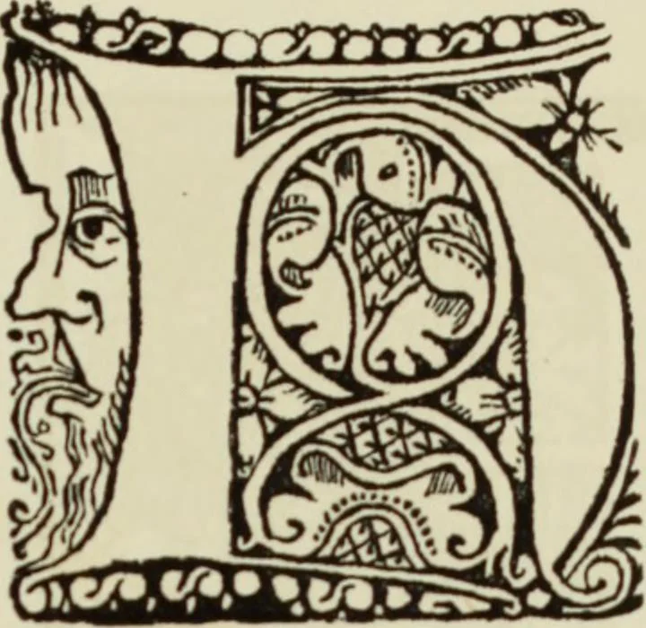 An illustration from Early woodcut initials : containing over thirteen hundred reproductions of ornamental letters of the fifteenth and sixteenth centuries, 1908, leaf 296