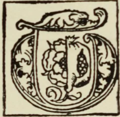 An illustration from Early woodcut initials : containing over thirteen hundred reproductions of ornamental letters of the fifteenth and sixteenth centuries, 1908, leaf 296