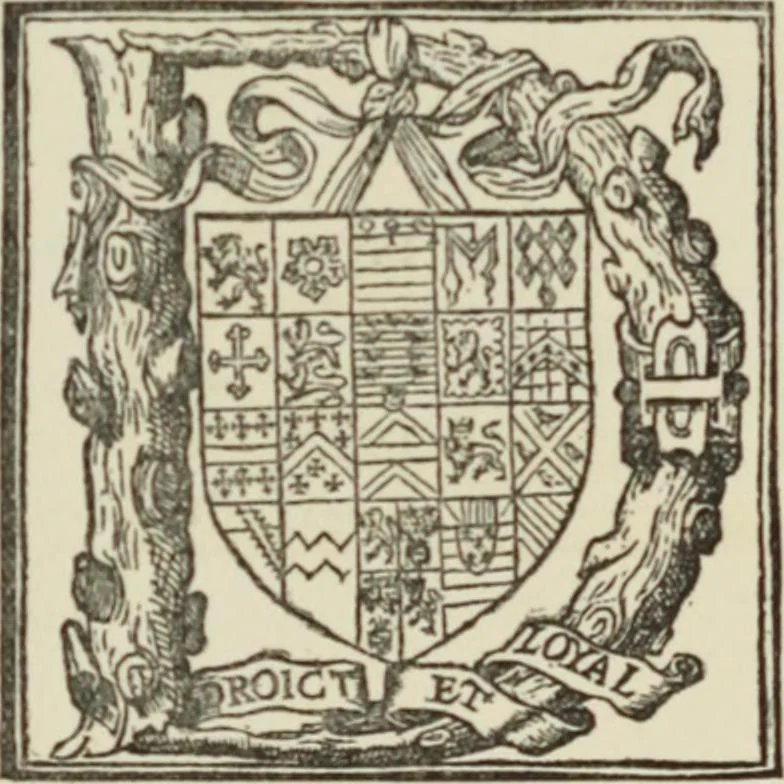 An illustration from Early woodcut initials : containing over thirteen hundred reproductions of ornamental letters of the fifteenth and sixteenth centuries, 1908, leaf 298