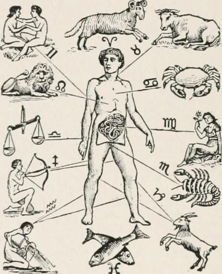 An illustration from Earthology; humanity characterized by the earth, sun, and zodiac, with prognostications from the moon, 1901, leaf 108