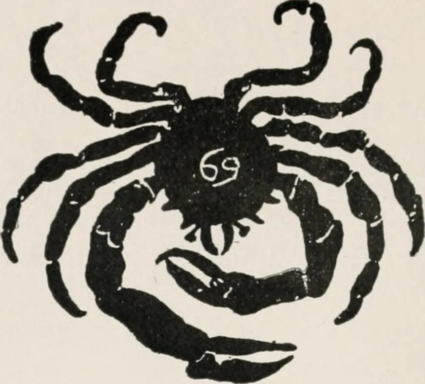 An illustration from Earthology; humanity characterized by the earth, sun, and zodiac, with prognostications from the moon, 1901, leaf 128