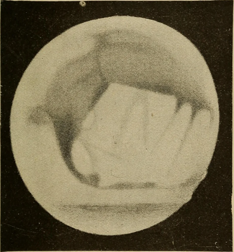 An illustration from The earth and sky; a primer of astronomy for young readers, 1898, leaf 131
