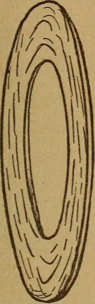 An illustration from Easy electrical experiments and how to make them;, 1918, leaf 198