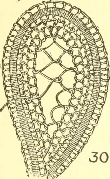 An illustration from Easy lessons for lace makers : fancy stitches illustrated showing clearly how to make all modern laces, 1901, leaf 12