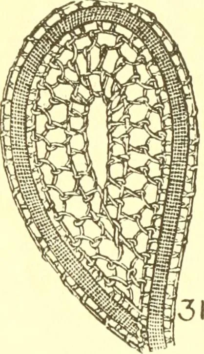 An illustration from Easy lessons for lace makers : fancy stitches illustrated showing clearly how to make all modern laces, 1901, leaf 12
