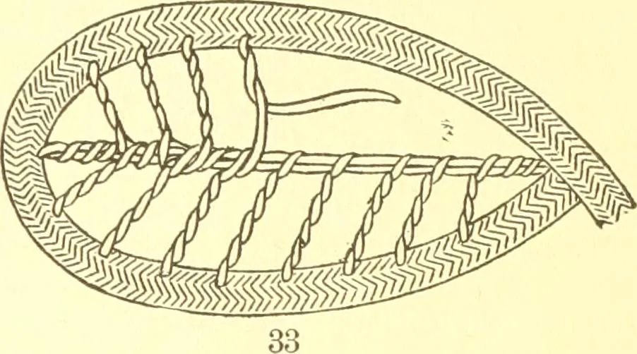 An illustration from Easy lessons for lace makers : fancy stitches illustrated showing clearly how to make all modern laces, 1901, leaf 12