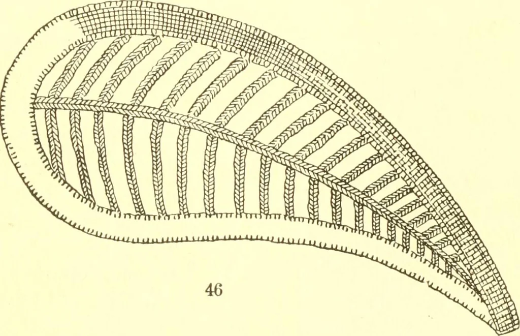 An illustration from Easy lessons for lace makers : fancy stitches illustrated showing clearly how to make all modern laces, 1901, leaf 16