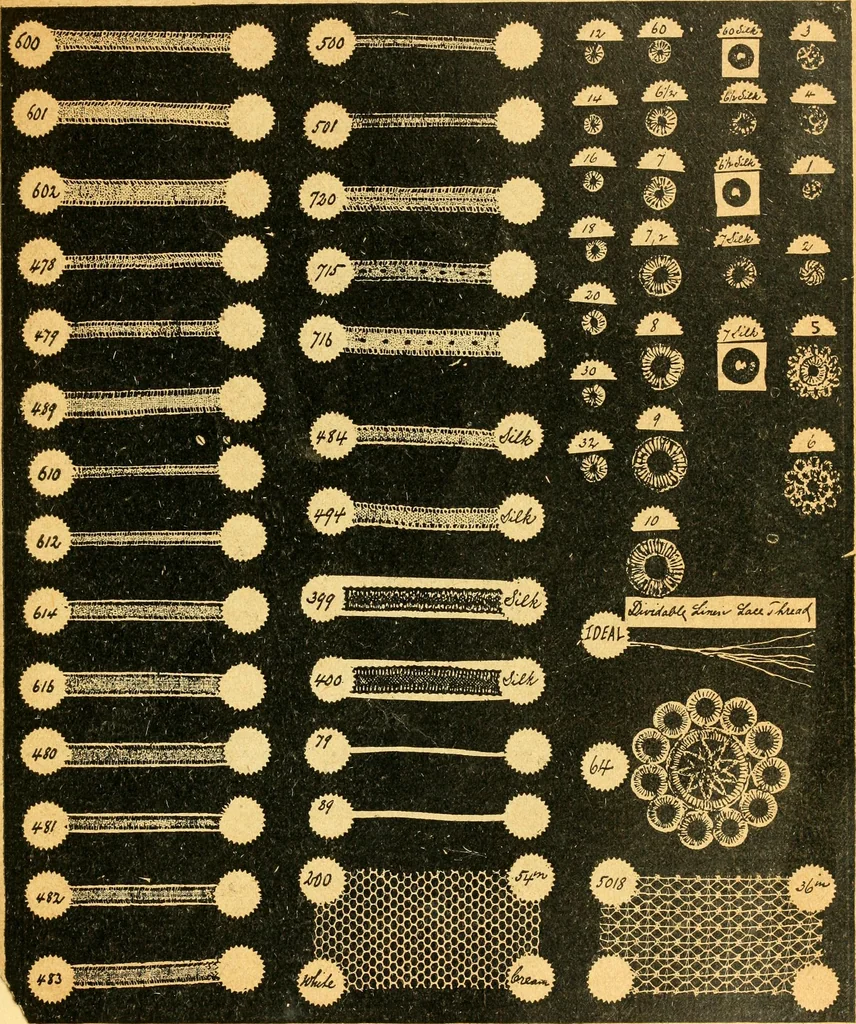 An illustration from Easy lessons for lace makers : fancy stitches illustrated showing clearly how to make all modern laces, 1901, leaf 20