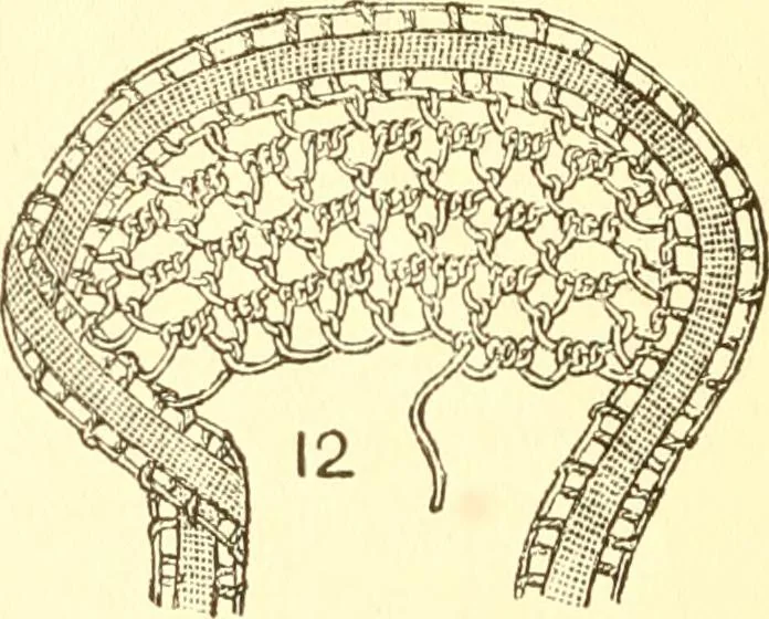 An illustration from Easy lessons for lace makers : fancy stitches illustrated showing clearly how to make all modern laces, 1901, leaf 7
