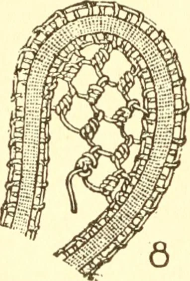 An illustration from Easy lessons for lace makers : fancy stitches illustrated showing clearly how to make all modern laces, 1901, leaf 7