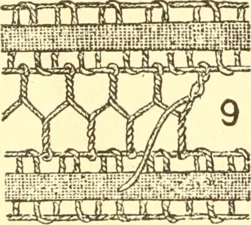 An illustration from Easy lessons for lace makers : fancy stitches illustrated showing clearly how to make all modern laces, 1901, leaf 7