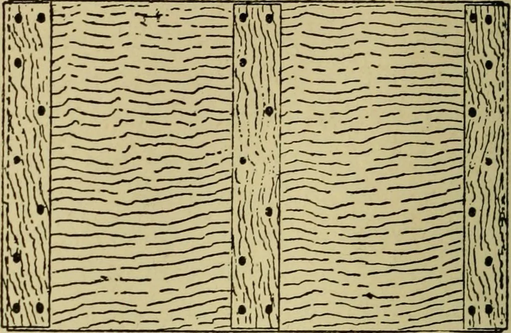 An illustration from Easy steps in architecture and architectural drawing .., 1915, leaf 387