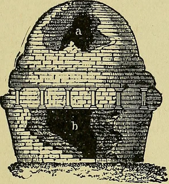 An illustration from Easy steps in architecture and architectural drawing .., 1915, leaf 98