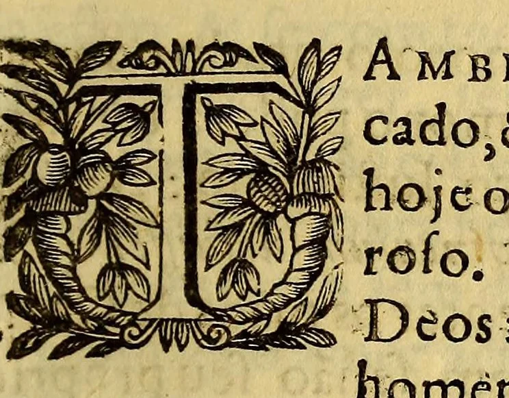 An illustration from Ecce Homo. Practicas pregadas no Collegio da Bahia as sestas feiras à noite, mostrandose em todas o Ecce Homo:, 1677, leaf 33