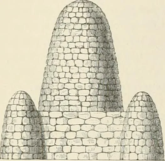 An illustration from The ecclesiastical architecture of Ireland, anterior to the Anglo-Norman invasion; comprising an essay on the origin and uses of the round towers of Ireland, which obtained the gold medal and prize of the Royal Irish Academy, 1845, leaf 100