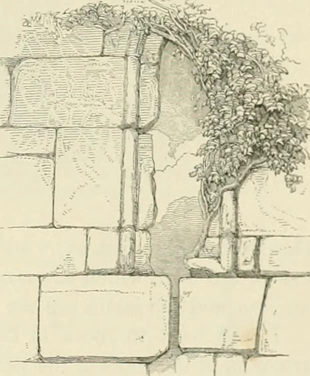 An illustration from The ecclesiastical architecture of Ireland, anterior to the Anglo-Norman invasion; comprising an essay on the origin and uses of the round towers of Ireland, which obtained the gold medal and prize of the Royal Irish Academy, 1845, leaf 209