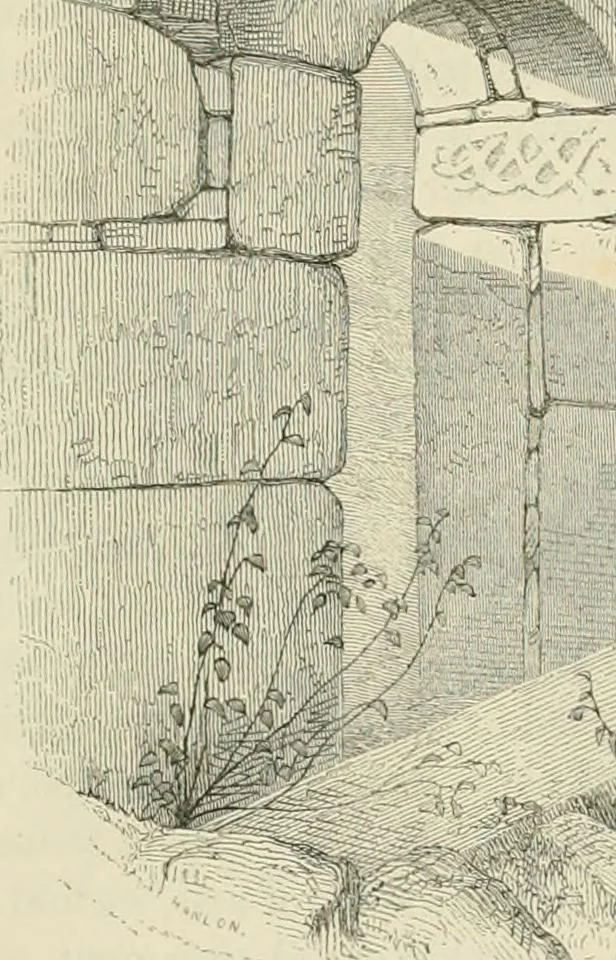An illustration from The ecclesiastical architecture of Ireland, anterior to the Anglo-Norman invasion; comprising an essay on the origin and uses of the round towers of Ireland, which obtained the gold medal and prize of the Royal Irish Academy, 1845, leaf 345