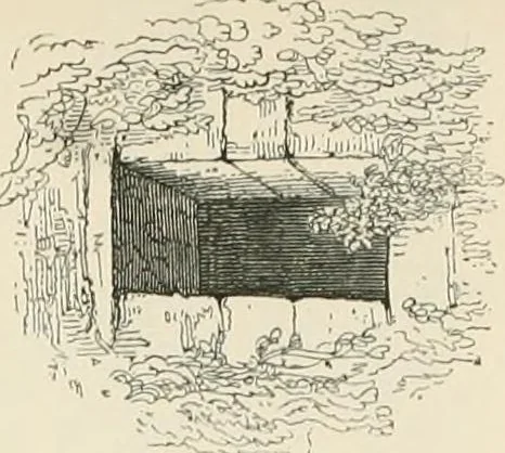 An illustration from The ecclesiastical architecture of Ireland, anterior to the Anglo-Norman invasion; comprising an essay on the origin and uses of the round towers of Ireland, which obtained the gold medal and prize of the Royal Irish Academy, 1845, leaf 426