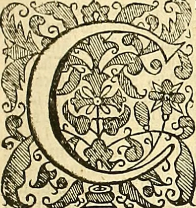 An illustration from The Ecclesiasticall historie : containing the Acts and monuments of martyrs, with a generall discourse of these later persecutions, horrible troubles and tumults, stirred up by Romish prelates in the Church: with divers other things incident, especially to this Realme of England and Scotland, as partly also to all other forraigne nations appertaining, from the time of Q. Maries entring upon the Crowne, to the reigne of our late gracious Soveraigne, Q. Elizabeth of blessed memorie, 1641, leaf 132