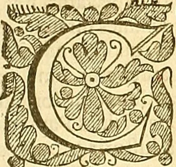 An illustration from The Ecclesiasticall historie : containing the Acts and monuments of martyrs, with a generall discourse of these later persecutions, horrible troubles and tumults, stirred up by Romish prelates in the Church: with divers other things incident, especially to this Realme of England and Scotland, as partly also to all other forraigne nations appertaining, from the time of Q. Maries entring upon the Crowne, to the reigne of our late gracious Soveraigne, Q. Elizabeth of blessed memorie, 1641, leaf 14