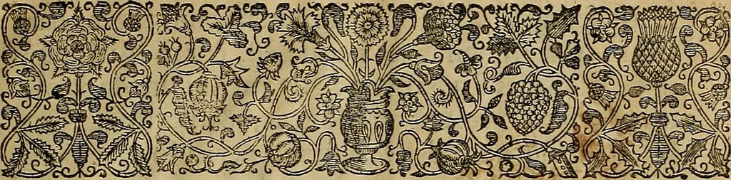 An illustration from The Ecclesiasticall historie : containing the Acts and monuments of martyrs, with a generall discourse of these later persecutions, horrible troubles and tumults, stirred up by Romish prelates in the Church: with divers other things incident, especially to this Realme of England and Scotland, as partly also to all other forraigne nations appertaining, from the time of Q. Maries entring upon the Crowne, to the reigne of our late gracious Soveraigne, Q. Elizabeth of blessed memorie, 1641, leaf 30