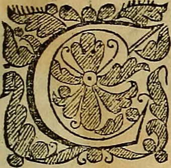An illustration from The Ecclesiasticall historie : containing the Acts and monuments of martyrs, with a generall discourse of these later persecutions, horrible troubles and tumults, stirred up by Romish prelates in the Church: with divers other things incident, especially to this Realme of England and Scotland, as partly also to all other forraigne nations appertaining, from the time of Q. Maries entring upon the Crowne, to the reigne of our late gracious Soveraigne, Q. Elizabeth of blessed memorie, 1641, leaf 30