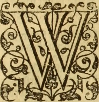 An illustration from The Ecclesiasticall historie : containing the Acts and monuments of martyrs, with a generall discourse of these later persecutions, horrible troubles and tumults, stirred up by Romish prelates in the Church: with divers other things incident, especially to this Realme of England and Scotland, as partly also to all other forraigne nations appertaining, from the time of Q. Maries entring upon the Crowne, to the reigne of our late gracious Soveraigne, Q. Elizabeth of blessed memorie, 1641, leaf 1028
