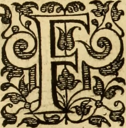 An illustration from The Ecclesiasticall historie : containing the Acts and monuments of martyrs, with a generall discourse of these later persecutions, horrible troubles and tumults, stirred up by Romish prelates in the Church: with divers other things incident, especially to this Realme of England and Scotland, as partly also to all other forraigne nations appertaining, from the time of Q. Maries entring upon the Crowne, to the reigne of our late gracious Soveraigne, Q. Elizabeth of blessed memorie, 1641, leaf 1036