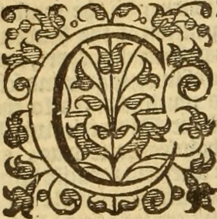 An illustration from The Ecclesiasticall historie : containing the Acts and monuments of martyrs, with a generall discourse of these later persecutions, horrible troubles and tumults, stirred up by Romish prelates in the Church: with divers other things incident, especially to this Realme of England and Scotland, as partly also to all other forraigne nations appertaining, from the time of Q. Maries entring upon the Crowne, to the reigne of our late gracious Soveraigne, Q. Elizabeth of blessed memorie, 1641, leaf 761