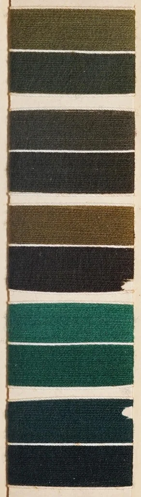 An illustration from Echte Färbungen auf Kammgarn = Fast shades on worsted yarn = Tientes solides sur fil de laine peignée., 1900, leaf 35