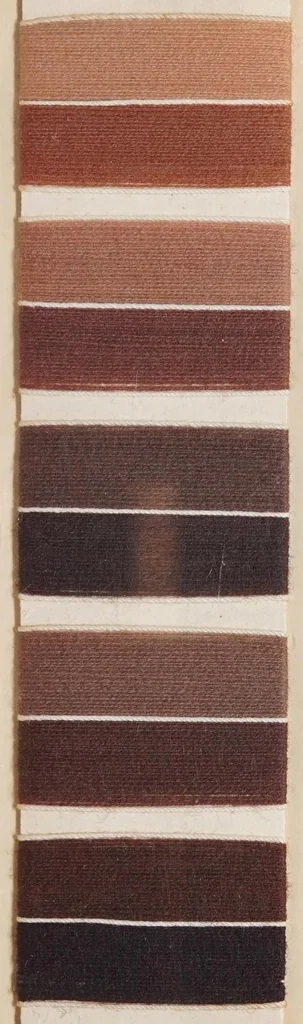 An illustration from Echte Färbungen auf Kammgarn = Fast shades on worsted yarn = Tientes solides sur fil de laine peignée., 1900, leaf 37