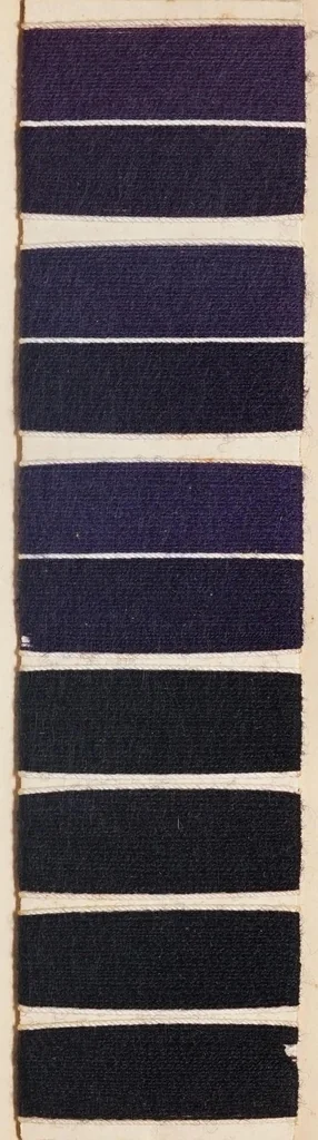 An illustration from Echte Färbungen auf Kammgarn = Fast shades on worsted yarn = Tientes solides sur fil de laine peignée., 1900, leaf 43