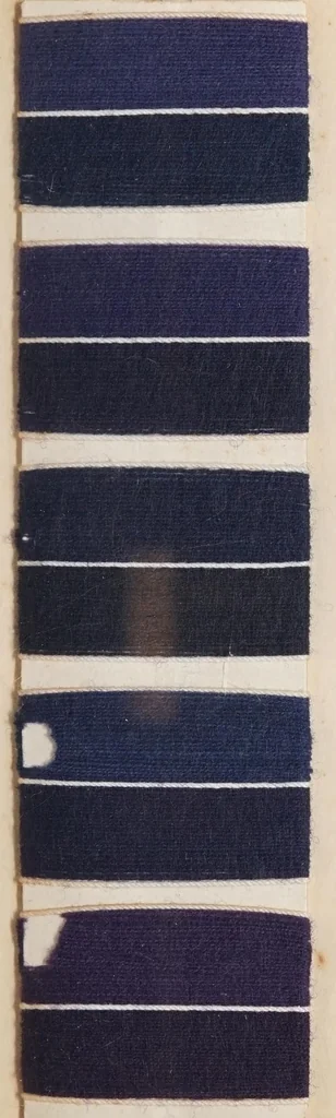 An illustration from Echte Färbungen auf Kammgarn = Fast shades on worsted yarn = Tientes solides sur fil de laine peignée., 1900, leaf 53