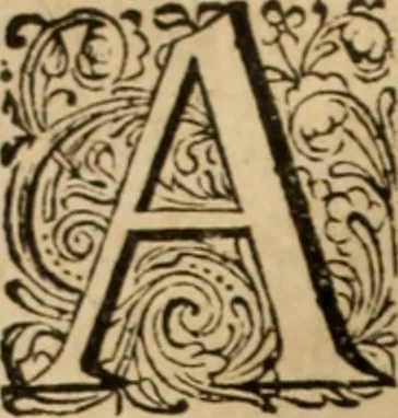 An illustration from Eclaircissement du fait et du sens de Jansenius, où l'on montre I. Que ce n'est point manquer au respect & à la soumission que l'on doit au Pape & aux evesques, que d'éclaircir l'Eglise sur ce fait ... II. Que les cinq propositions condamnées ne sont contenues dans le livre de Jansenius ny quant aux termes, ny quant au sens ... III. Que les disciples de S. Augustin n'ont jamais sontenu ces propositions ... IV. L'on examine tout ce qui a esté allegué de l'histoire ecclesiastique pour autoriser le procedé que l'on tient sur le fait de Jansenius. Contre les livres écrits & extraits de messieurs Pereyret, Morel, Chamillard, Annat, Amelote & autres, 1660, leaf 13