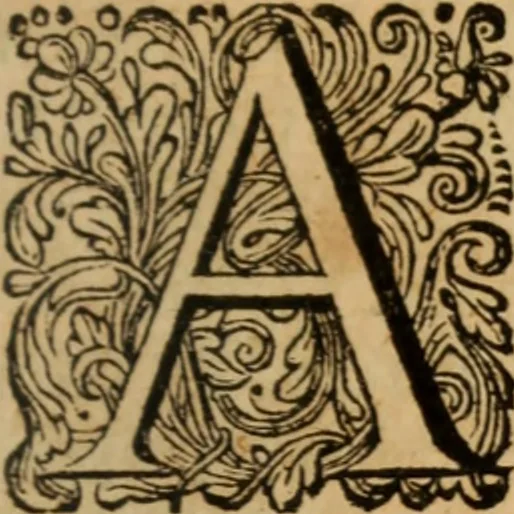 An illustration from Eclaircissement du fait et du sens de Jansenius, où l'on montre I. Que ce n'est point manquer au respect & à la soumission que l'on doit au Pape & aux evesques, que d'éclaircir l'Eglise sur ce fait ... II. Que les cinq propositions condamnées ne sont contenues dans le livre de Jansenius ny quant aux termes, ny quant au sens ... III. Que les disciples de S. Augustin n'ont jamais sontenu ces propositions ... IV. L'on examine tout ce qui a esté allegué de l'histoire ecclesiastique pour autoriser le procedé que l'on tient sur le fait de Jansenius. Contre les livres écrits & extraits de messieurs Pereyret, Morel, Chamillard, Annat, Amelote & autres, 1660, leaf 262