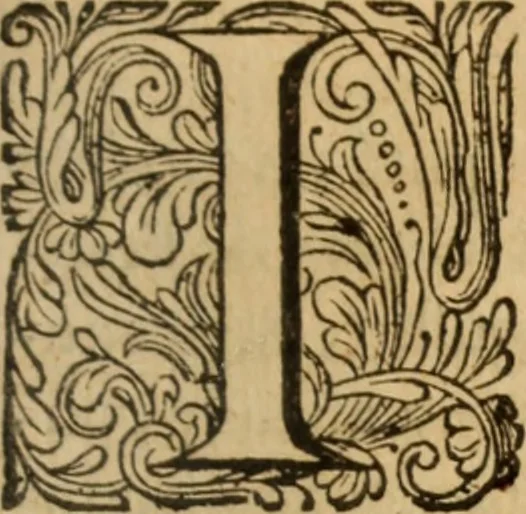 An illustration from Eclaircissement du fait et du sens de Jansenius, où l'on montre I. Que ce n'est point manquer au respect & à la soumission que l'on doit au Pape & aux evesques, que d'éclaircir l'Eglise sur ce fait ... II. Que les cinq propositions condamnées ne sont contenues dans le livre de Jansenius ny quant aux termes, ny quant au sens ... III. Que les disciples de S. Augustin n'ont jamais sontenu ces propositions ... IV. L'on examine tout ce qui a esté allegué de l'histoire ecclesiastique pour autoriser le procedé que l'on tient sur le fait de Jansenius. Contre les livres écrits & extraits de messieurs Pereyret, Morel, Chamillard, Annat, Amelote & autres, 1660, leaf 304