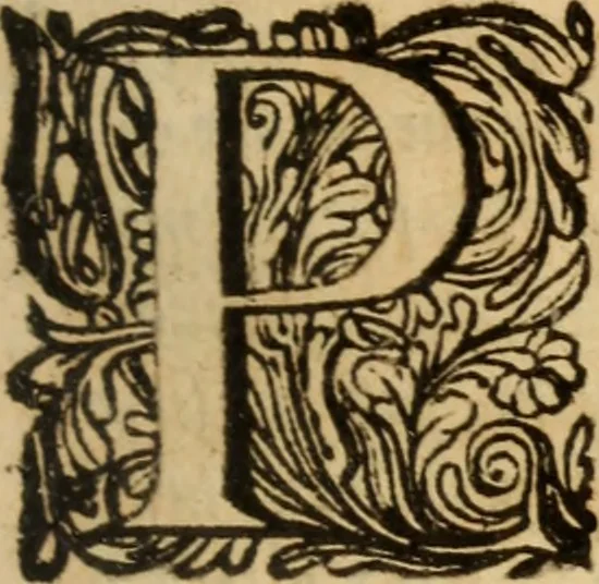An illustration from Eclaircissement du fait et du sens de Jansenius, où l'on montre I. Que ce n'est point manquer au respect & à la soumission que l'on doit au Pape & aux evesques, que d'éclaircir l'Eglise sur ce fait ... II. Que les cinq propositions condamnées ne sont contenues dans le livre de Jansenius ny quant aux termes, ny quant au sens ... III. Que les disciples de S. Augustin n'ont jamais sontenu ces propositions ... IV. L'on examine tout ce qui a esté allegué de l'histoire ecclesiastique pour autoriser le procedé que l'on tient sur le fait de Jansenius. Contre les livres écrits & extraits de messieurs Pereyret, Morel, Chamillard, Annat, Amelote & autres, 1660, leaf 54