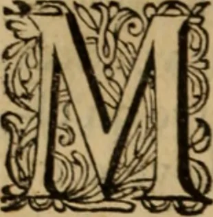 An illustration from Eclaircissement du fait et du sens de Jansenius, où l'on montre I. Que ce n'est point manquer au respect & à la soumission que l'on doit au Pape & aux evesques, que d'éclaircir l'Eglise sur ce fait ... II. Que les cinq propositions condamnées ne sont contenues dans le livre de Jansenius ny quant aux termes, ny quant au sens ... III. Que les disciples de S. Augustin n'ont jamais sontenu ces propositions ... IV. L'on examine tout ce qui a esté allegué de l'histoire ecclesiastique pour autoriser le procedé que l'on tient sur le fait de Jansenius. Contre les livres écrits & extraits de messieurs Pereyret, Morel, Chamillard, Annat, Amelote & autres, 1660, leaf 129