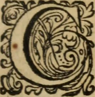 An illustration from Eclaircissement du fait et du sens de Jansenius, où l'on montre I. Que ce n'est point manquer au respect & à la soumission que l'on doit au Pape & aux evesques, que d'éclaircir l'Eglise sur ce fait ... II. Que les cinq propositions condamnées ne sont contenues dans le livre de Jansenius ny quant aux termes, ny quant au sens ... III. Que les disciples de S. Augustin n'ont jamais sontenu ces propositions ... IV. L'on examine tout ce qui a esté allegué de l'histoire ecclesiastique pour autoriser le procedé que l'on tient sur le fait de Jansenius. Contre les livres écrits & extraits de messieurs Pereyret, Morel, Chamillard, Annat, Amelote & autres, 1660, leaf 20