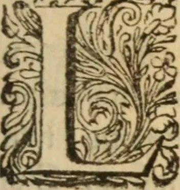 An illustration from Eclaircissement du fait et du sens de Jansenius, où l'on montre I. Que ce n'est point manquer au respect & à la soumission que l'on doit au Pape & aux evesques, que d'éclaircir l'Eglise sur ce fait ... II. Que les cinq propositions condamnées ne sont contenues dans le livre de Jansenius ny quant aux termes, ny quant au sens ... III. Que les disciples de S. Augustin n'ont jamais sontenu ces propositions ... IV. L'on examine tout ce qui a esté allegué de l'histoire ecclesiastique pour autoriser le procedé que l'on tient sur le fait de Jansenius. Contre les livres écrits & extraits de messieurs Pereyret, Morel, Chamillard, Annat, Amelote & autres, 1660, leaf 228