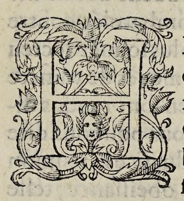 An illustration from Edict du Roy, svr les articles accordez a Monsievr le Duc de Mayenne, pour la paix en ce royaume., 1596, leaf 3