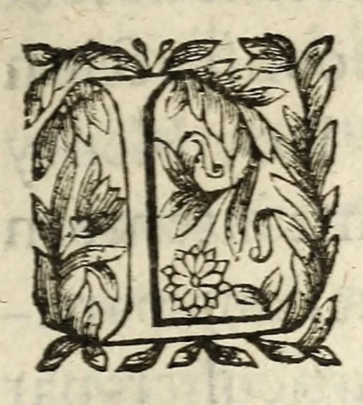 An illustration from Edict du roy, portant creation en tiltre d'office formé de deux offices, l'vn de conseiller du roy, lieutenant particulier esleu, & l'autre de conseiller du roy esleu en chacune eslection en chef de ce royaume, à pareils gages, droicts, exemptions de tailles & autres priuileges appartenans ausdits offices tels & semblables que les anciens officiers desdites eslections : auec iouïssance de la dispense des quarante iours, & du prest pendant trois annees, sans pour ce payer aucune finance : verifié en la Chambre de comptes & Cour des aydes., 1626, leaf 3