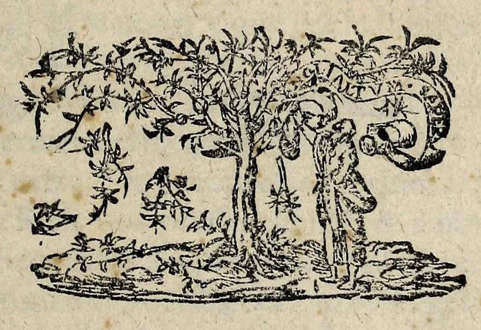 An illustration from Edict du roy, pour la levee des droicts d'entree moderez, qui seront cueillis & perceuz en toutes les prouinces de ce royaume sur les denrees & marchandises, suiuant l'aduis de l'assemblee tenue en la ville de Roüen., 1597, leaf 7