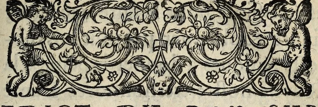 An illustration from Edict du Roy sur la pacification des troubles, contenant confirmation, ampliation, & declaration, tant des precedents Edicts sur ledit aict, mesmes en l'an 1577, que des Articles arrestez en la Conference de Nerac ..., 1581, leaf 3