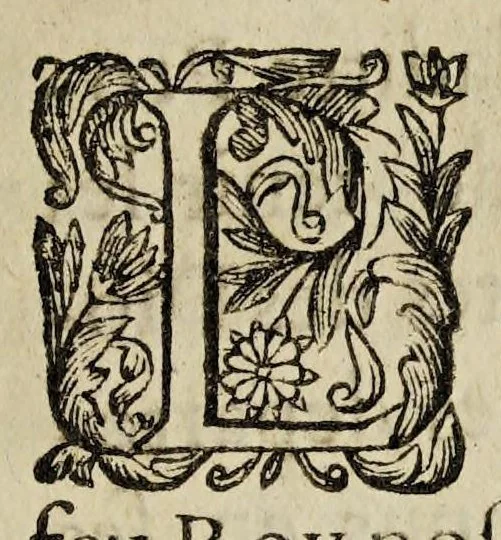 An illustration from Edict dv Roy, portant creation de vingt-deux bureaux & sieges des eleus en la prouince de Languedoc., 1629, leaf 5