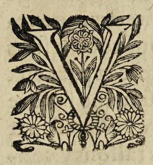 An illustration from Edict dv Roy portant creation des offices de commissaires receueurs hereditaires des deniers des saisies reelles ascauoir deux, où il y a Parlement, & d'vn en chacune ville & iustice royalle de ce royaume., 1629, leaf 29