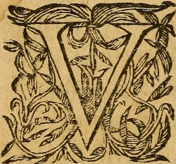 An illustration from Edict Dv Roy portant creation en chacune Election de deux Offices de Conseillers & Intendans particuliers des deniers communs & d'octroy, des Villes & Communautez de ce Royaume, ... : Verifié en la Chambredes Comptes le dernier de Decembre 1628. & en la Cour des Aydes le 3.Feurier 1629, 1630, leaf 29