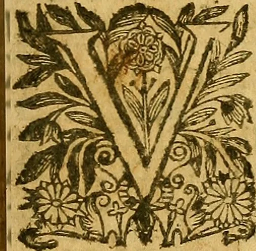 An illustration from Edict Dv Roy portant creation en chacune Election de deux Offices de Conseillers & Intendans particuliers des deniers communs & d'octroy, des Villes & Communautez de ce Royaume, ... : Verifié en la Chambredes Comptes le dernier de Decembre 1628. & en la Cour des Aydes le 3.Feurier 1629, 1630, leaf 38