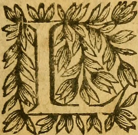 An illustration from Edict Dv Roy portant creation en chacune Election de deux Offices de Conseillers & Intendans particuliers des deniers communs & d'octroy, des Villes & Communautez de ce Royaume, ... : Verifié en la Chambredes Comptes le dernier de Decembre 1628. & en la Cour des Aydes le 3.Feurier 1629, 1630, leaf 42